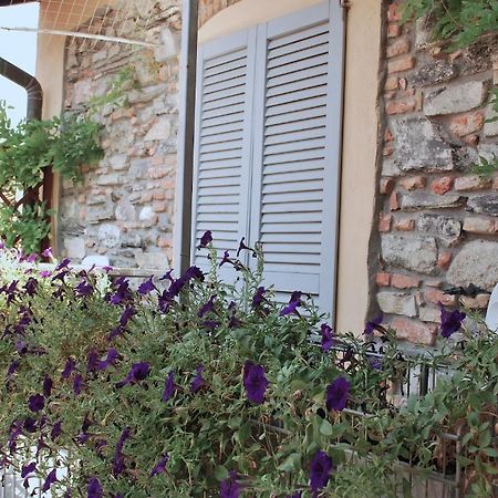 B&B Storico Como Rom bilde
